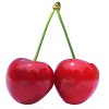 Bitter Cherry