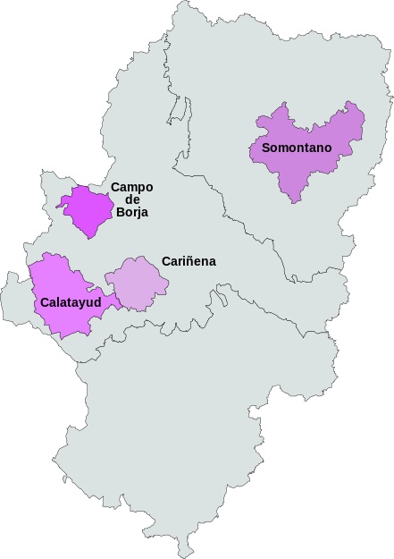 Vinos DO de Aragón